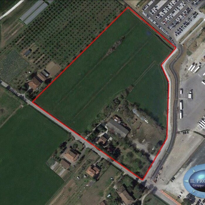 WhatsApp Image 2024-12-21 at 19.32.55