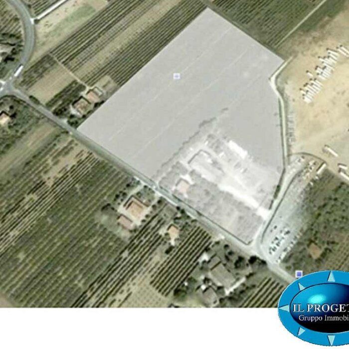 WhatsApp Image 2024-12-21 at 19.32.56 (1)