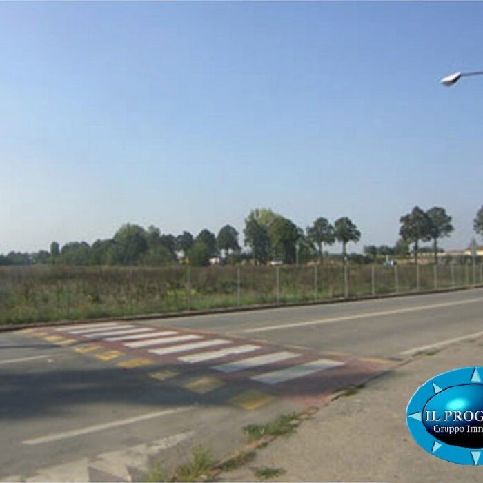 WhatsApp Image 2024-12-21 at 19.50.54 (2)